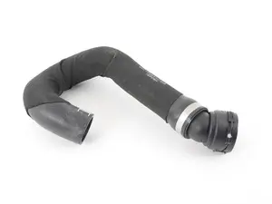 Radiator Hose - lower