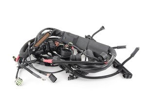 ES#30842 - 12517501135 - Engine wiring harness  - New DME wire harness - Genuine BMW - BMW