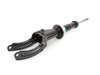 ES#2981832 - 19-194462 - Front strut - left - Replacement strut to restore factory ride - Bilstein - Volkswagen Porsche