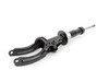 ES#2981833 - 19-194479 - Front Strut - right - Replacement strut to restore factory ride - Bilstein - Volkswagen Porsche