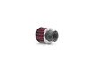 ES#3098775 - 007344ecs02KT -  Luft-Technik Intake System - Carbon Fiber Inlet - Audi B8 S4/S5 3.0T - Engineered for increased engine performance with show quality looks - ECS - Audi