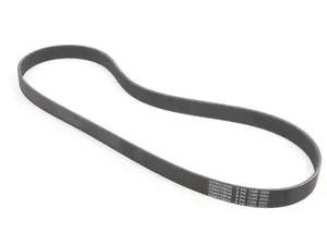 Accessory Belt - Alternator/AC/Power Steering Belt
