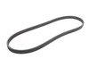 ES#2800625 - 021145933K - Accessory Drive Belt - Ribbed rubber belt for driving engine accessory components - Continental - Volkswagen