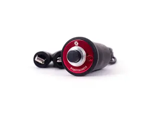 Schwaben Remote Starter Switch