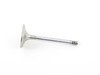 ES#2803030 - 078109601E - Intake Valve - Priced Each - Standard replacement intake valve - Rein - Audi Volkswagen