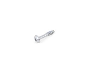 ES#35185 - 13717552761 - TORX SCREW - Genuine MINI - MINI