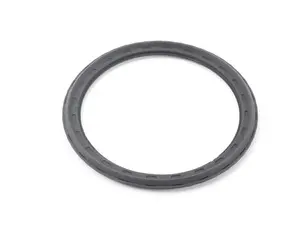 Oil Pump O-Ring