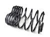 ES#2918374 - 55.70.09 - Sport Springs Set - Upgrade looks and handling with sport springs - Neuspeed - Audi Volkswagen