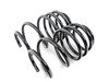 ES#2918374 - 55.70.09 - Sport Springs Set - Upgrade looks and handling with sport springs - Neuspeed - Audi Volkswagen