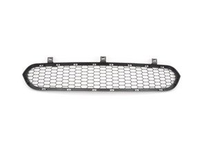 ES#1305159 - 51117205560 - GRILL, CENTER LOWER - Genuine BMW - BMW