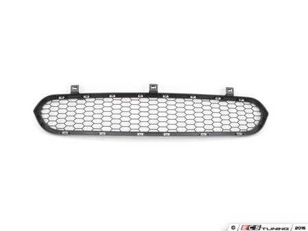 ES#1305159 - 51117205560 - GRILL, CENTER LOWER - Genuine BMW - BMW