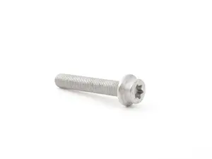 TORX SCREW WITH COLL