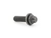 ES#41700 - 22116769558 - ECE ASA BOLT - Genuine BMW - BMW
