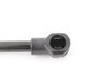 ES#2756259 - 51247295205 - Trunk Strut - Strut to hold rear trunk lid up - Genuine BMW - BMW