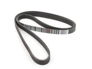 Serpentine Belt