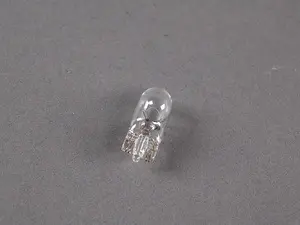 Bulb - Priced Each