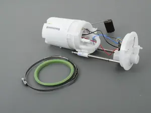 In-Tank Fuel Pump