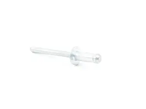 RIVET