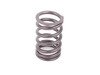 ES#3025537 - 005602022-062 - Schrick performance Valve Spring Set  - Tougher valve spring to support higher lift - Schrick - BMW