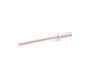 ES#14414 - 07119903695 - BLIND RIVET - Genuine BMW - BMW