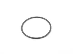 Thermostat O-Ring