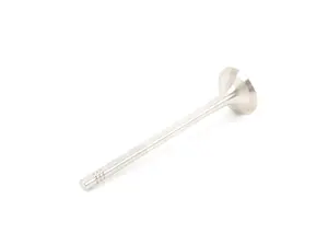 Exhaust Valve - Priced Each