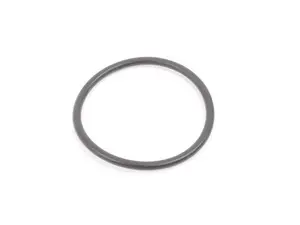Thermostat O-Ring
