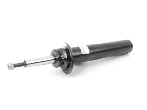 Front Strut - right