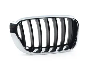 Kidney Grille - Right