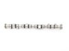 ES#3024147 - 042401641-03 - Schrick Camshaft - MINI Cooper S 264/272 degree  - Performance cam for your MINI - Schrick - MINI