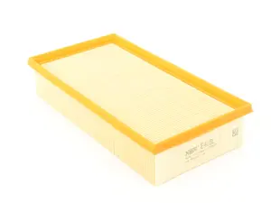 Engine Air Filter