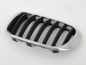Kidney Grille - Left