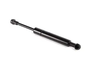 Trunk strut