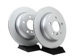 Rear Brake Rotors - Pair (300x20)