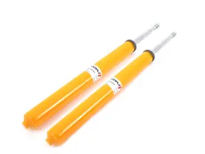 Front Adjustable Strut Assembly - Pair