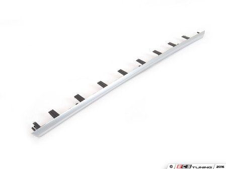 ES#3016213 - 51417393490 - Front Right Door Trim Molding - Priced Each  - Accent Trim For Door Panel - Genuine BMW - BMW
