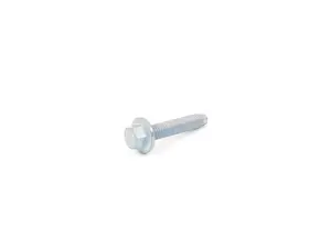 Hex Bolt with Washer - Priced Each