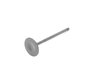 ES#3024819 - BMIVN-1030 - Supertech Performance Intake Valve - Priced Each - One of the best valves for high performance applications! - Supertech - BMW