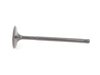 ES#3024819 - BMIVN-1030 - Supertech Performance Intake Valve - Priced Each - One of the best valves for high performance applications! - Supertech - BMW