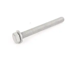 Hex Bolt with Washer