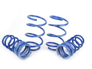 ES#2843610 - NM.558856 - RS-Alpha Spring Set - (NO LONGER AVAILABLE) - Lowering springs with a progressive rate - NM Engineering - 