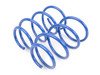 ES#2843610 - NM.558856 - RS-Alpha Spring Set - (NO LONGER AVAILABLE) - Lowering springs with a progressive rate - NM Engineering - 
