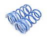 ES#2843610 - NM.558856 - RS-Alpha Spring Set - (NO LONGER AVAILABLE) - Lowering springs with a progressive rate - NM Engineering - 