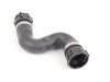 ES#2803231 - 17123424499 - E83 X3 Radiator Hose - Lower - Hose from radiator to water pump - Rein - BMW