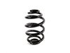 ES#58995 - 33536775573 - Rear Coil Spring - Replace your cracked springs - Genuine BMW - BMW