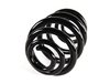 ES#58995 - 33536775573 - Rear Coil Spring - Replace your cracked springs - Genuine BMW - BMW