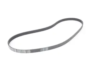 Accessory Drive Belt
