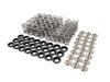 ES#3036326 - TMS1504 - Supertech High Performance Valve Spring Set - E36 M3, 325i, 328i - High performance valve spring set - Supertech - BMW