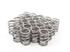 ES#3036326 - TMS1504 - Supertech High Performance Valve Spring Set - E36 M3, 325i, 328i - High performance valve spring set - Supertech - BMW