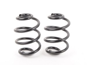 ES#3102556 - e46xirspringsKT - Turner Motorsport E46 AWD Replacement Rear Springs - Pair  - A common failure on the E46 chassis adding stress to the rear suspension - Turner Motorsport - BMW